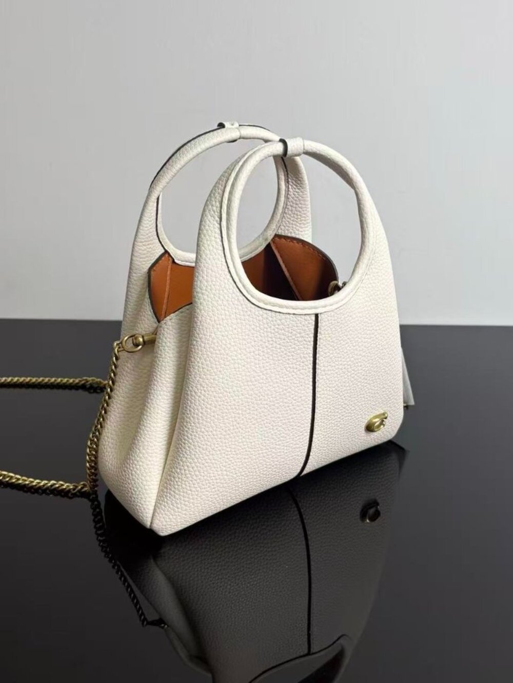 Coach Mini Lana 19 Tote Bag with Detachable Chain Strap - Picture 3 of 5